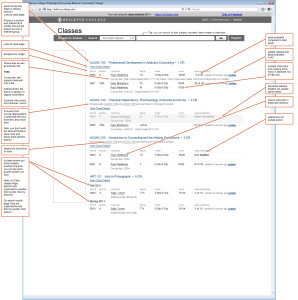 Anatomy of Section Listings